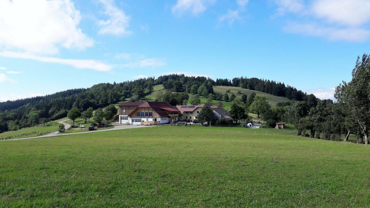Oetscherblick Fam Winter Frankenfels Exterior foto