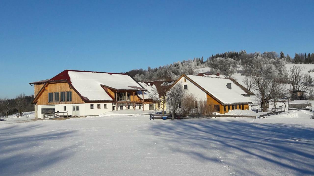 Oetscherblick Fam Winter Frankenfels Exterior foto