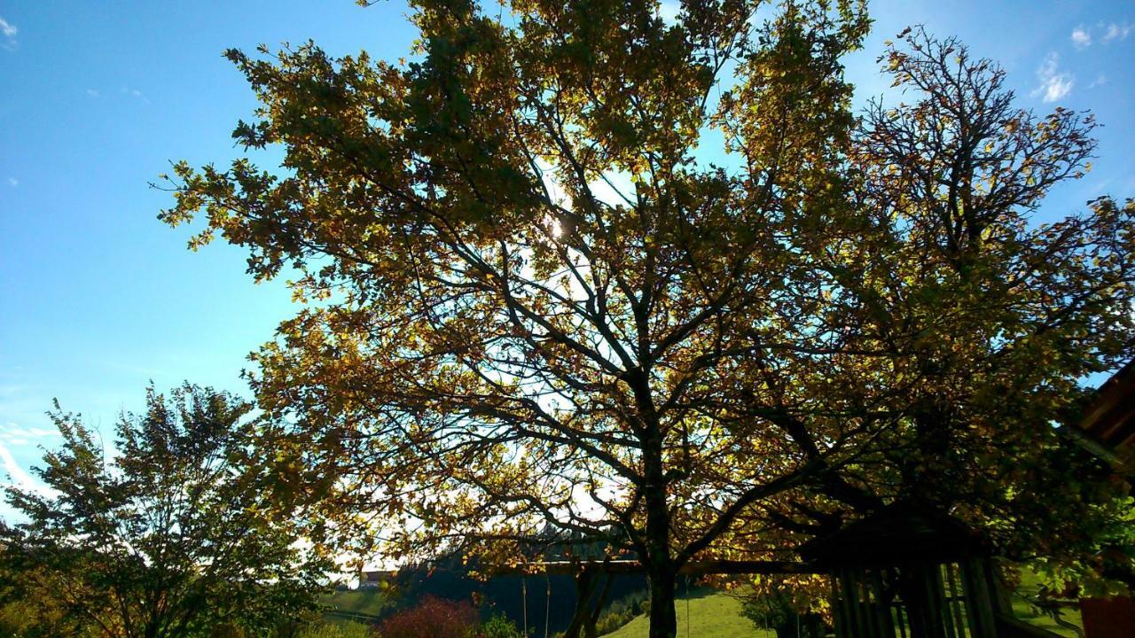 Oetscherblick Fam Winter Frankenfels Exterior foto